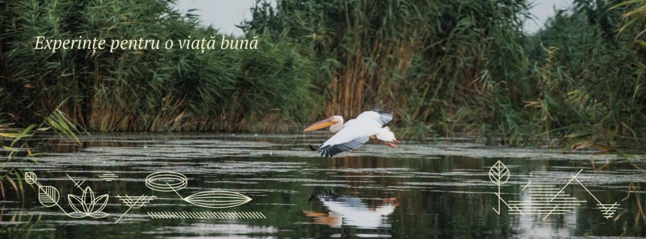 Pensiunea NEST Dunavăţu de Jos Exterior foto