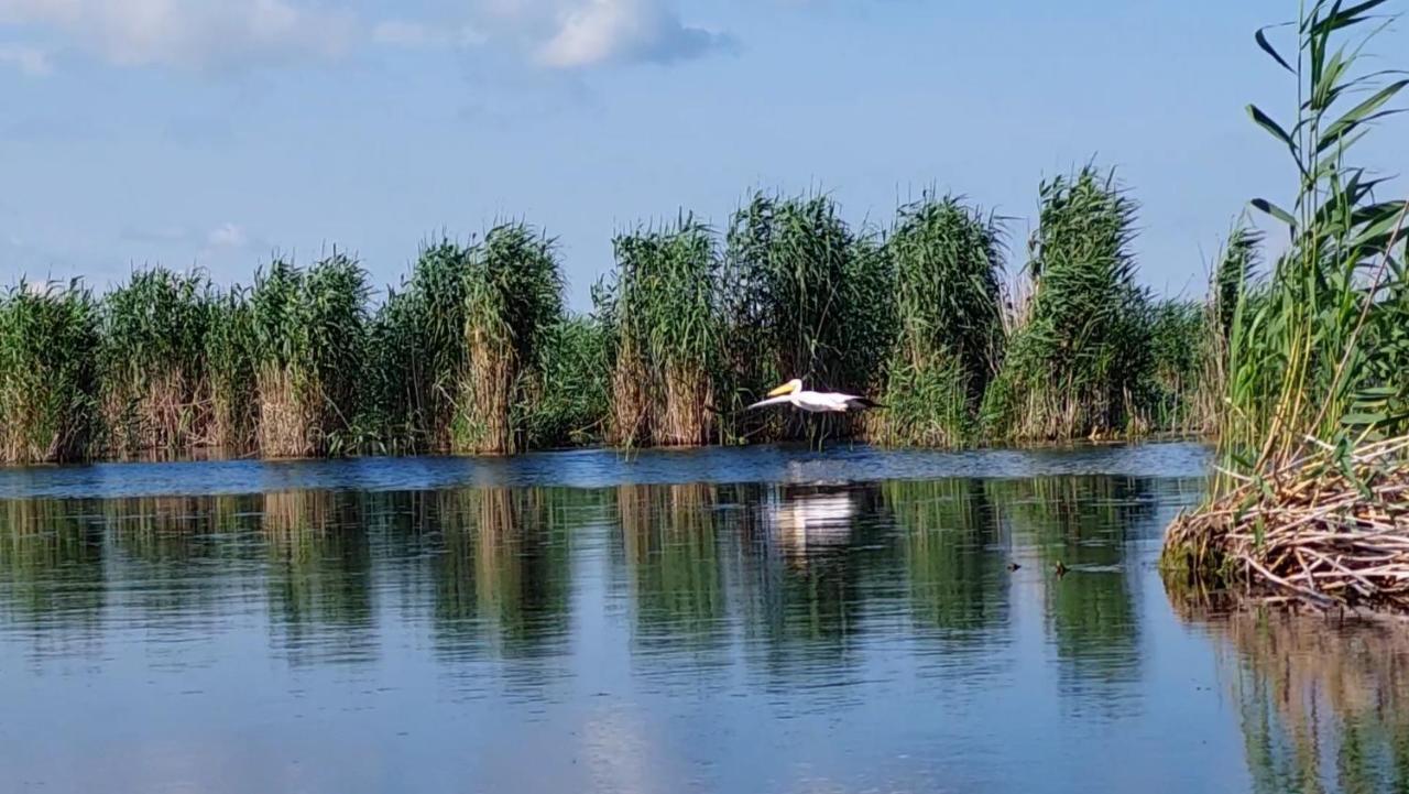 Pensiunea NEST Dunavăţu de Jos Exterior foto