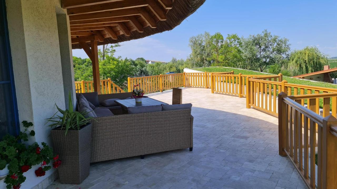 Pensiunea NEST Dunavăţu de Jos Exterior foto